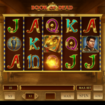 Joka Casino - Book of Dead Slot Game